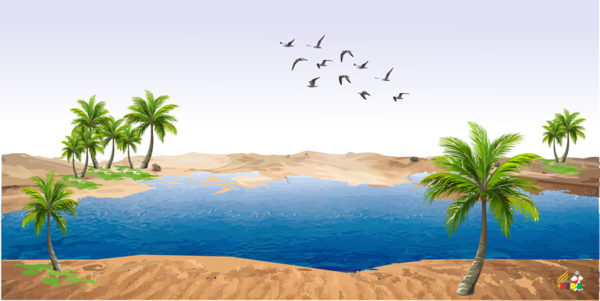 Background Banner - Beach