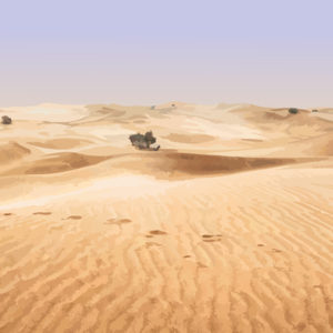 Background Banner - Desert