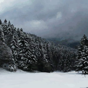Background Banner - Snow
