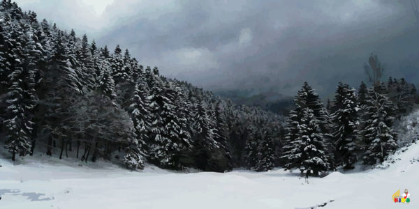 Background Banner - Snow